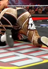 WWE Bayley / Davina Rose / Pamela Rose Martinez - Video