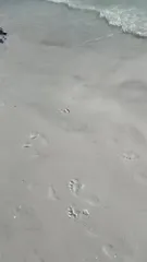 Humberly González - Video