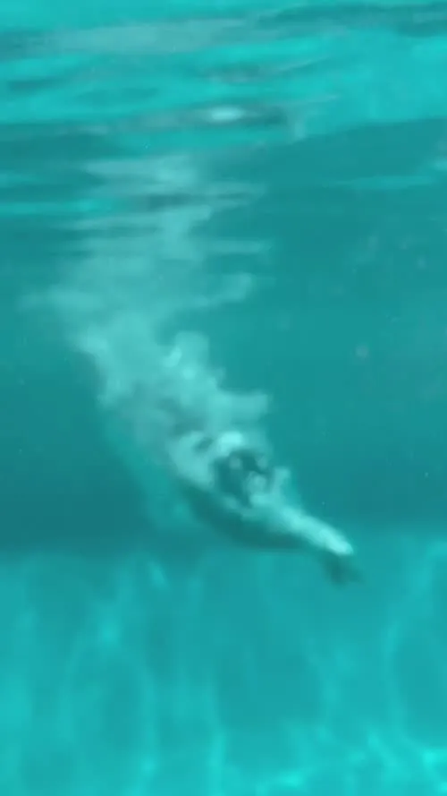 Nicole Scherzinger - Video #152337