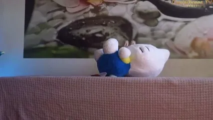 JennyCutey/HoneyIAmHome - Video #200167