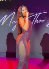 Megan Thee Stallion - Video #378824