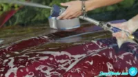 Jessa Rhodes - Car wash