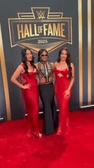 The Bella Twins: Nikki Bella & Brie Bella | Garcia Twins - Video #313903