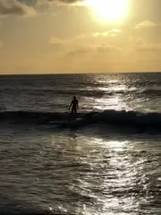 Alexis Ren - Video #316971
