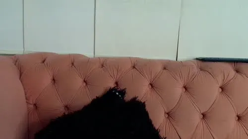 alissa_wxw - Julieta Aguilar (2025-12-29) boobs doggy on bed