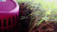 Ifeelmyself - Junipur's video diary 2.2 by Junipur