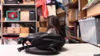Shoplyfter - Karlee Grey - Case No. 2568754 - Apparel theft