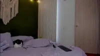 Karlye_5 - Karlye 5 (2026-02-19)