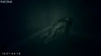 Kati3kat - Paranormal Faptivity