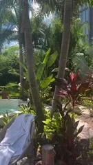 Jaida Parker - WWE/NXT - Video #295994