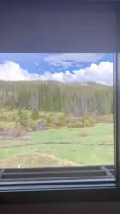Willow shields - Video #316317