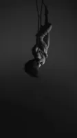 Lady Gaga - Video portrait flying scale 2x ahq-12