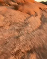 Xochitl Gomez - Video