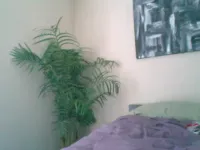 le_lea - Le lea