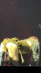 Hirai Momo | TWICE - Video