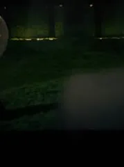 Lindsey Stirling - LS YF&N Vid 1