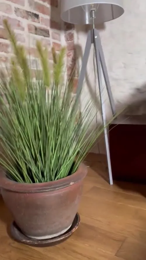 Luise / Luise Wixx - Video #21516