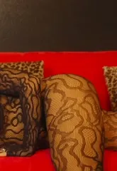 Samantha Irvin - WWE - Video