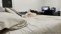 Madicollinsxo / Madi Collins - Video