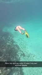 Ellen Aabol - Video