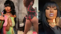 Megan Thee Stallion - Meg joi 2 no audio