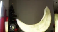 _meganmeow_ - meganmeow chaturbate 20241213-234001