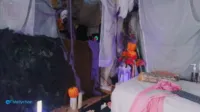 Mollyflwers | mollychan - (2024-10-04 18-06-47 723)