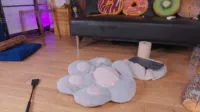 Mollyflwers | mollychan - 2025-03-10 13-44-30 513