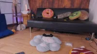 Mollyflwers | mollychan - 2025-03-11 17-15-14 535