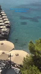 Alexandra Stan - Video #354399