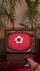 Naika - Video