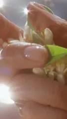 Dua Lipa - Video
