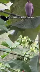 FPOV / Female Pov - Video #93090
