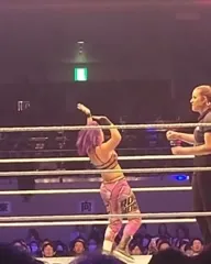 WWE Bayley / Davina Rose / Pamela Rose Martinez - Video