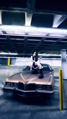 Dani Thorne - Om TDDP LEE