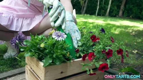 OnlyTarts - Dalila what did you bring in your pants