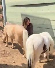 Michelle Monaghan - Video