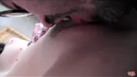 Putalocura / Torbe - Video #136716