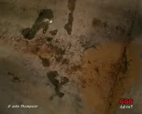 German Goo Girls (GGG) / GGG John Thompson - Pisse & sperma 3 - Sandra