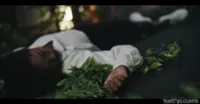 Hentaied.com Network | Hentaied | Parasited | Freeze.XXX - Plants vs cunts Vol. 5