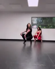 The Bella Twins: Nikki Bella & Brie Bella | Garcia Twins - Video #313901