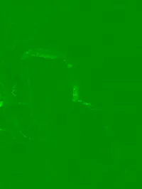 PrincessTafne  / NAZZARENAV- / LittleKitten1 / tafne_222 - 2026-03-19 22-26-01 751 copy ts