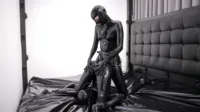 Reflective Desire - Pussyfootin