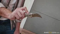 Ryan Keely - Video