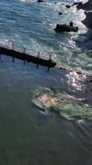 Humberly González - Video #201253