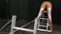 Queensnake / queensnakebdsm - QS catapult