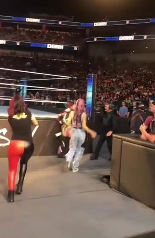WWE Bayley / Davina Rose / Pamela Rose Martinez - Video