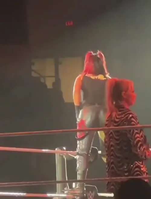 WWE Bayley / Davina Rose / Pamela Rose Martinez - Video