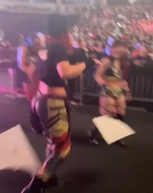 WWE Bayley / Davina Rose / Pamela Rose Martinez - Video