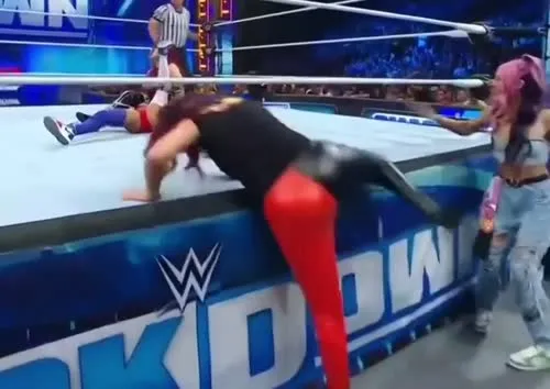 WWE Bayley / Davina Rose / Pamela Rose Martinez - The slide into the ring though